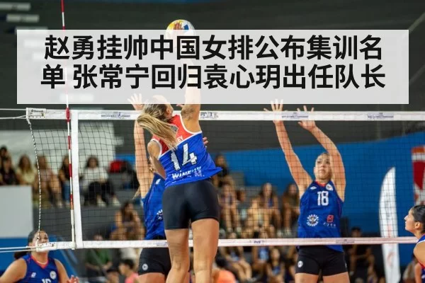 volleyball match action